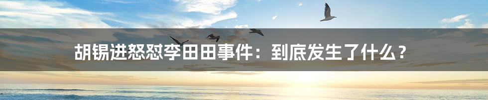 胡锡进怒怼李田田事件：到底发生了什么？