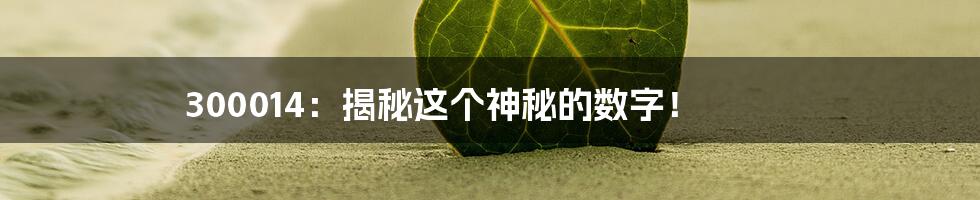 300014：揭秘这个神秘的数字！