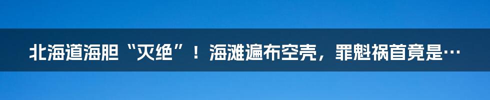 北海道海胆“灭绝”！海滩遍布空壳，罪魁祸首竟是…