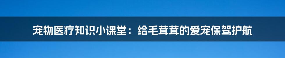 宠物医疗知识小课堂：给毛茸茸的爱宠保驾护航