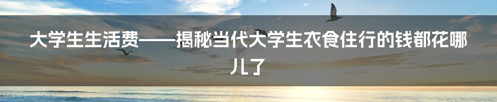 大学生生活费——揭秘当代大学生衣食住行的钱都花哪儿了