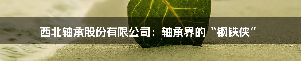 西北轴承股份有限公司：轴承界的“钢铁侠”