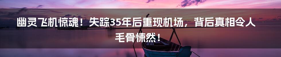 幽灵飞机惊魂！失踪35年后重现机场，背后真相令人毛骨悚然！