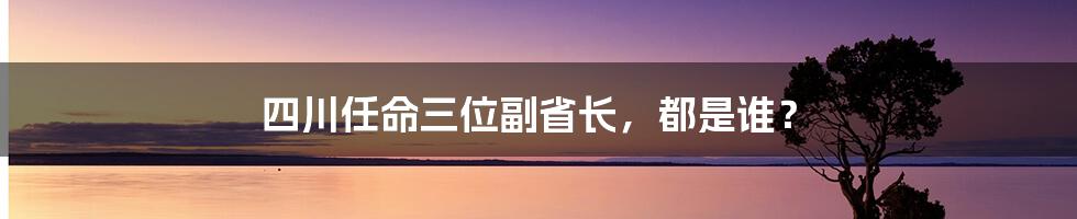 四川任命三位副省长，都是谁？