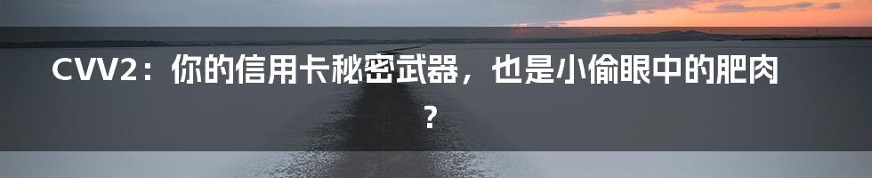 CVV2：你的信用卡秘密武器，也是小偷眼中的肥肉？