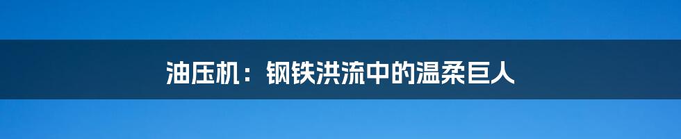 油压机：钢铁洪流中的温柔巨人