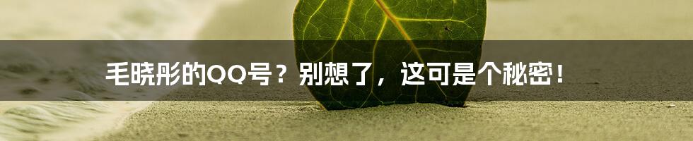 毛晓彤的QQ号？别想了，这可是个秘密！