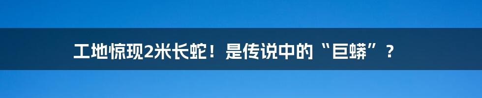 工地惊现2米长蛇！是传说中的“巨蟒”？