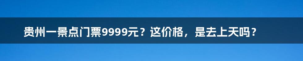 贵州一景点门票9999元？这价格，是去上天吗？