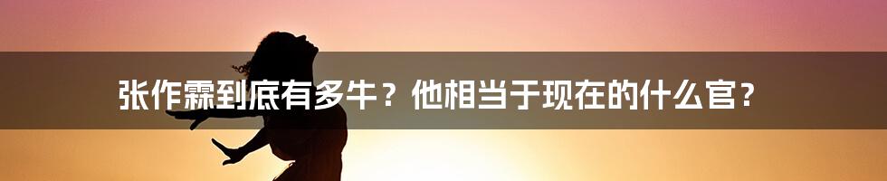 张作霖到底有多牛？他相当于现在的什么官？