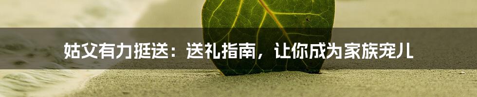 姑父有力挺送：送礼指南，让你成为家族宠儿