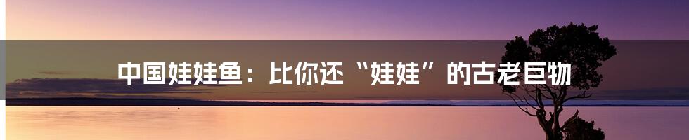 中国娃娃鱼：比你还“娃娃”的古老巨物