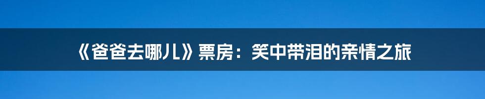 《爸爸去哪儿》票房：笑中带泪的亲情之旅