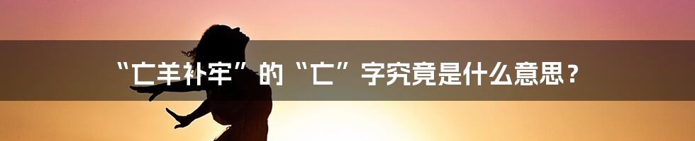 “亡羊补牢”的“亡”字究竟是什么意思？