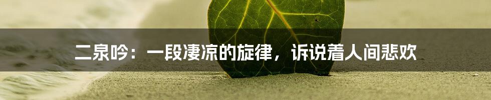 二泉吟：一段凄凉的旋律，诉说着人间悲欢