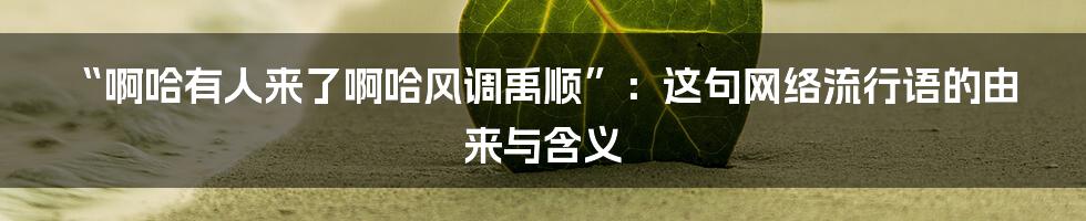 “啊哈有人来了啊哈风调禹顺”：这句网络流行语的由来与含义