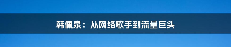 韩佩泉：从网络歌手到流量巨头