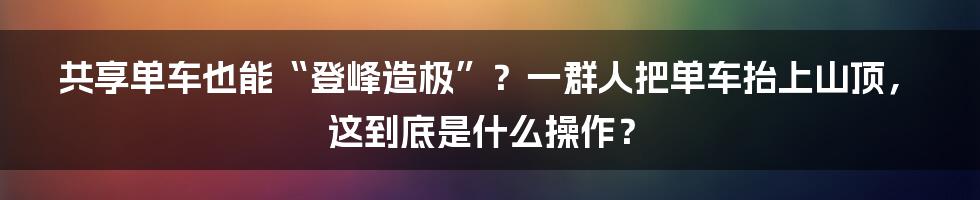 共享单车也能“登峰造极”？一群人把单车抬上山顶，这到底是什么操作？