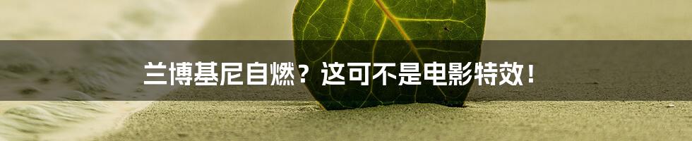 兰博基尼自燃？这可不是电影特效！