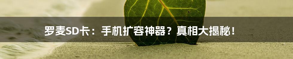 罗麦SD卡：手机扩容神器？真相大揭秘！