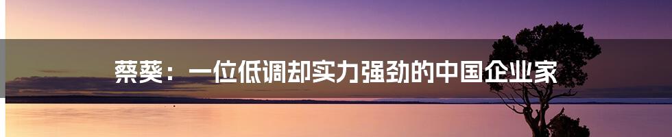 蔡葵：一位低调却实力强劲的中国企业家