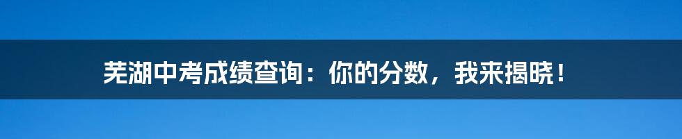 芜湖中考成绩查询：你的分数，我来揭晓！