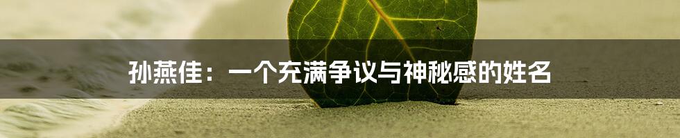 孙燕佳：一个充满争议与神秘感的姓名