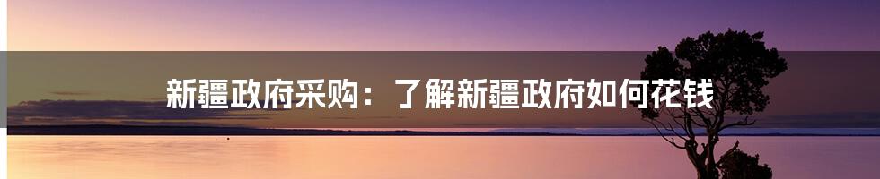 新疆政府采购：了解新疆政府如何花钱