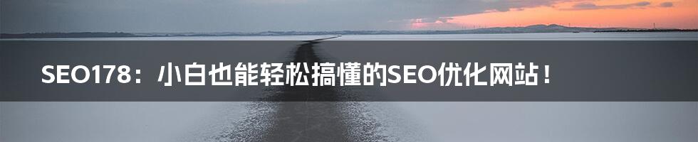 SEO178：小白也能轻松搞懂的SEO优化网站！