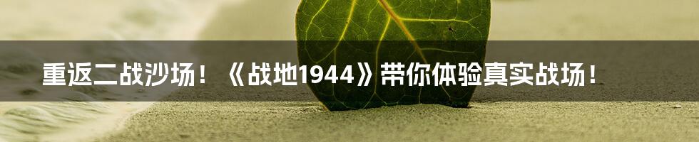 重返二战沙场！《战地1944》带你体验真实战场！