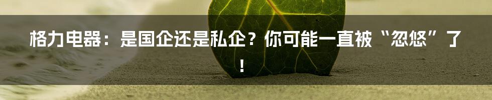 格力电器：是国企还是私企？你可能一直被“忽悠”了！