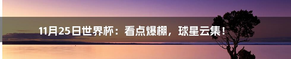 11月25日世界杯：看点爆棚，球星云集！