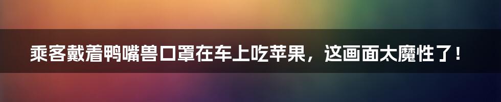 乘客戴着鸭嘴兽口罩在车上吃苹果，这画面太魔性了！