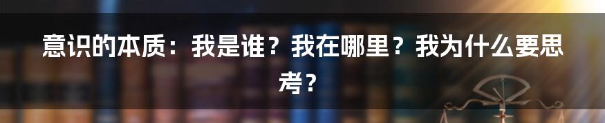 意识的本质：我是谁？我在哪里？我为什么要思考？