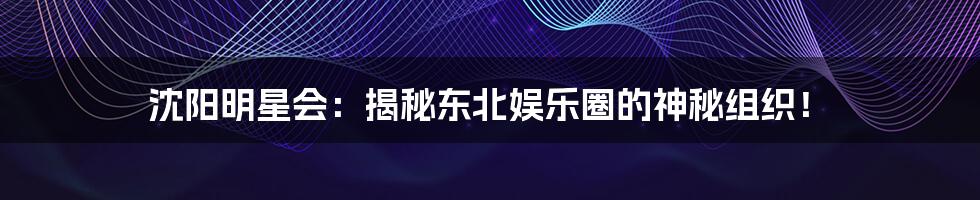 沈阳明星会：揭秘东北娱乐圈的神秘组织！