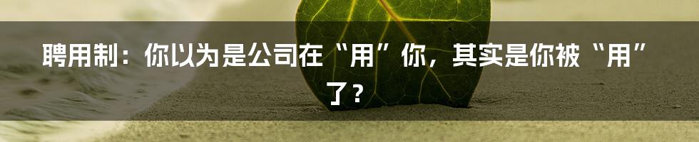 聘用制：你以为是公司在“用”你，其实是你被“用”了？