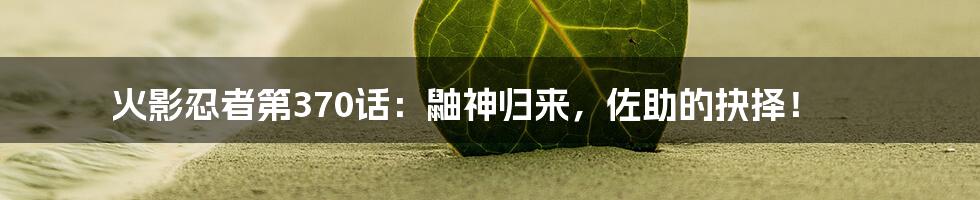 火影忍者第370话：鼬神归来，佐助的抉择！