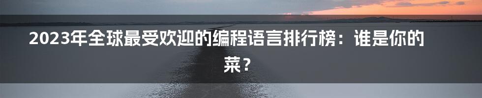 2023年全球最受欢迎的编程语言排行榜：谁是你的菜？