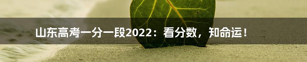 山东高考一分一段2022：看分数，知命运！