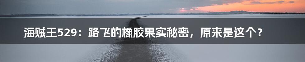 海贼王529：路飞的橡胶果实秘密，原来是这个？