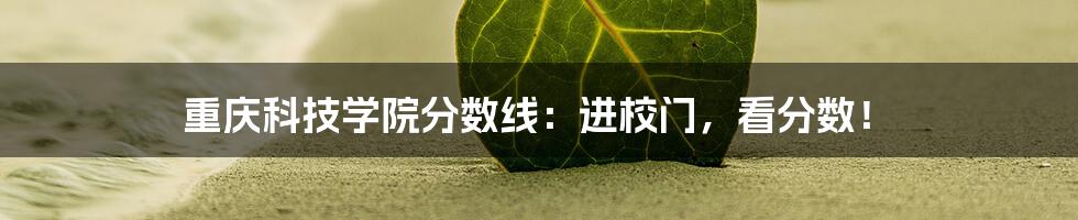 重庆科技学院分数线：进校门，看分数！