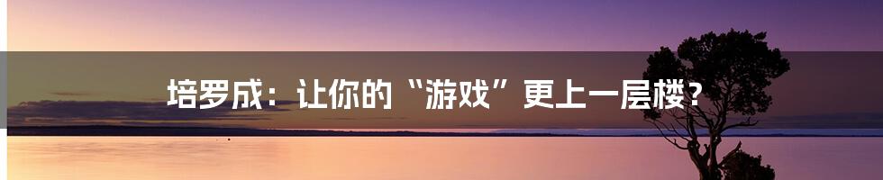 培罗成：让你的“游戏”更上一层楼？