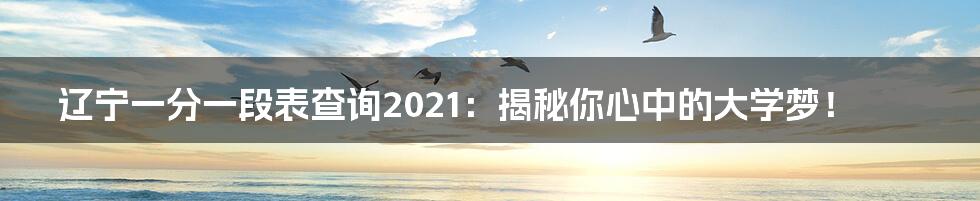 辽宁一分一段表查询2021：揭秘你心中的大学梦！