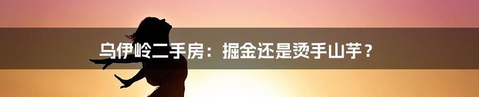 乌伊岭二手房：掘金还是烫手山芋？