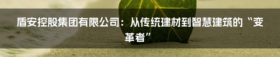 盾安控股集团有限公司：从传统建材到智慧建筑的“变革者”