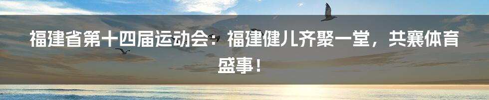 福建省第十四届运动会：福建健儿齐聚一堂，共襄体育盛事！