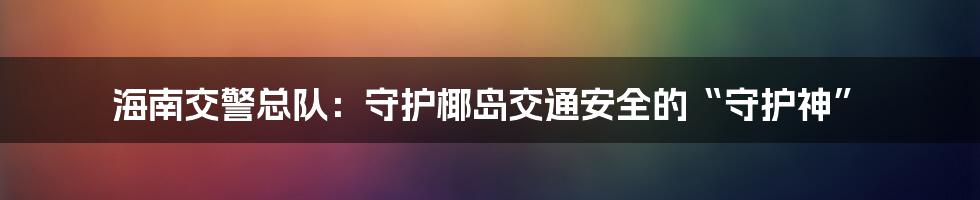 海南交警总队：守护椰岛交通安全的“守护神”