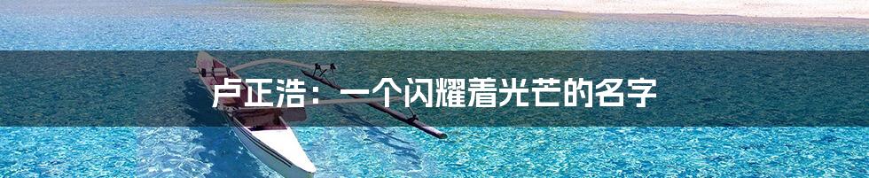 卢正浩：一个闪耀着光芒的名字