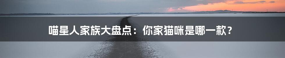 喵星人家族大盘点：你家猫咪是哪一款？