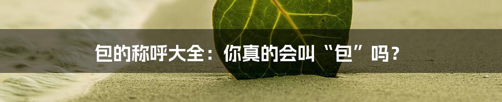 包的称呼大全：你真的会叫“包”吗？